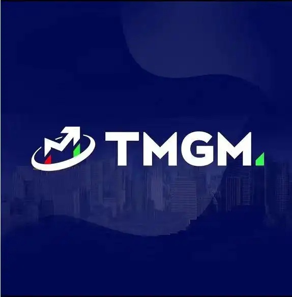 如何通过TMGM官网把握国际黄金行情走势？